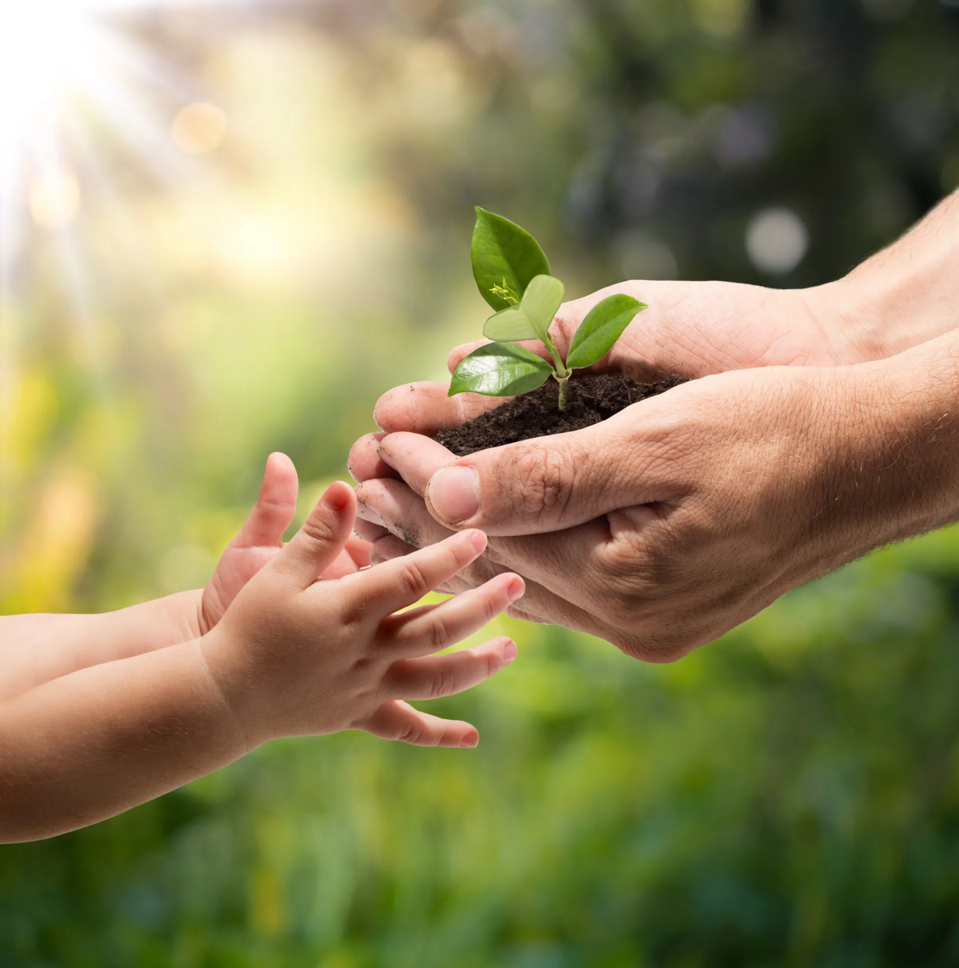 Accompagnement en naturopathie à chaque étape de la vie
